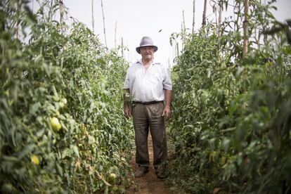 José Ortiz, 74 años. Toda la vida ha trabajado en el campo, y ahora mantiene un huerto personal. Trabaja de 7 de la mañana a 13.30 y de 18:00 a 22:00. Mientras que en el invierno apenas bebe agua, en verano toma entre tres o cuatro litros.