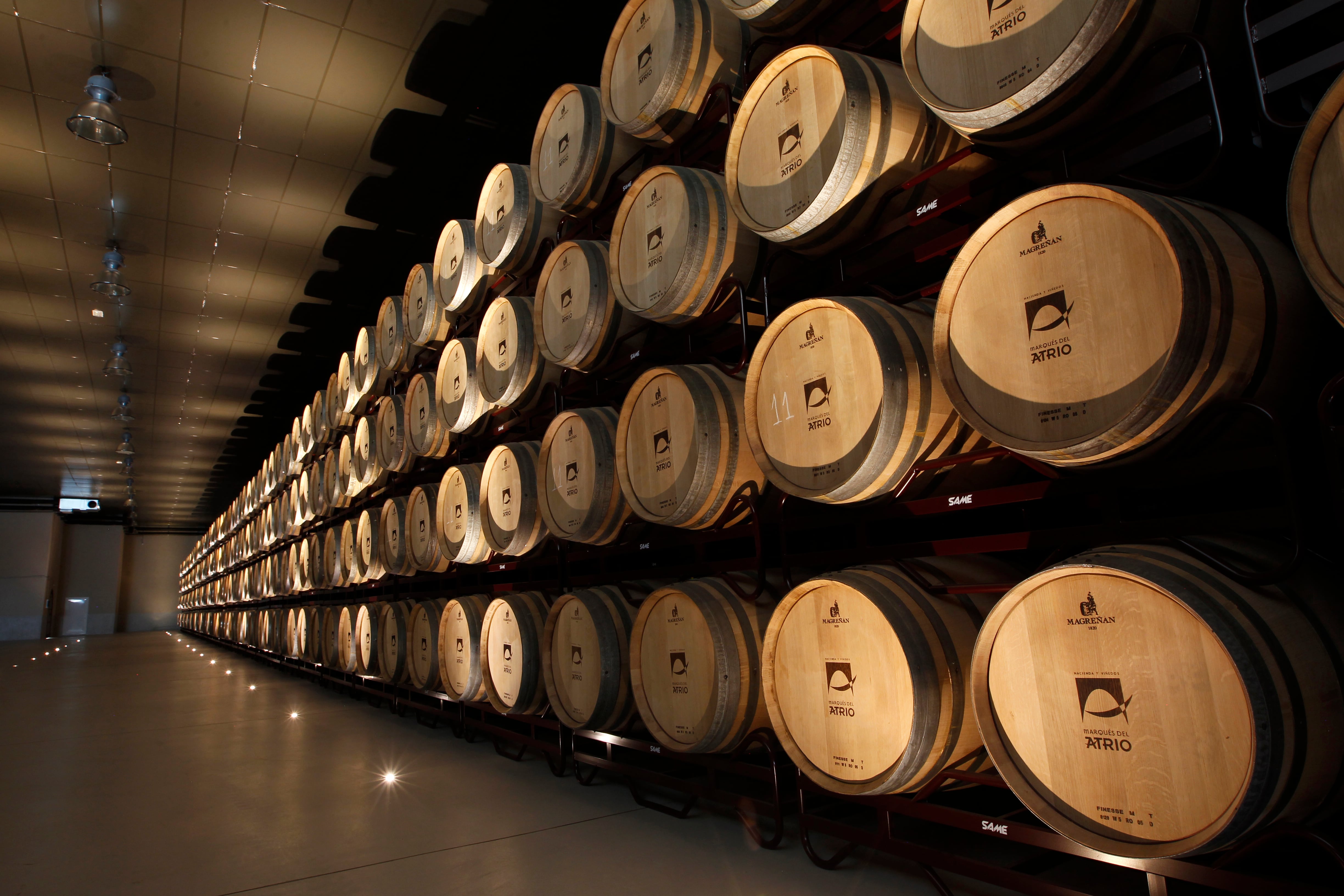 Barricas en la bodega de Marqués del Atrio.