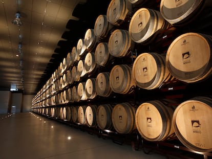 Barricas en la bodega de Marqués del Atrio.