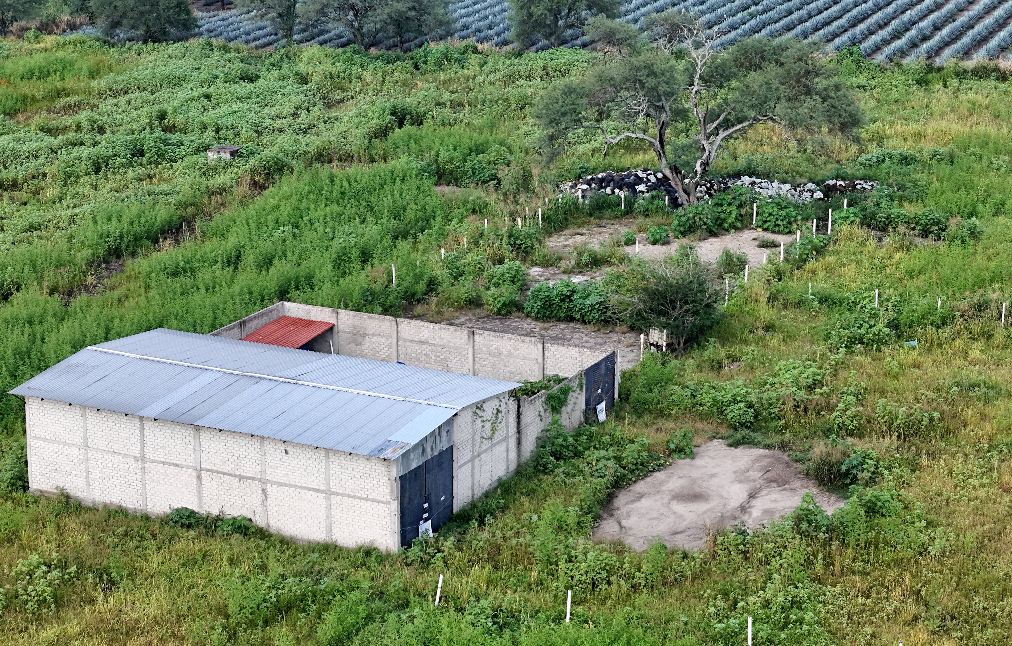 El rancho La Vega, en Jalisco, México, el 20 de septiembre 2025. 