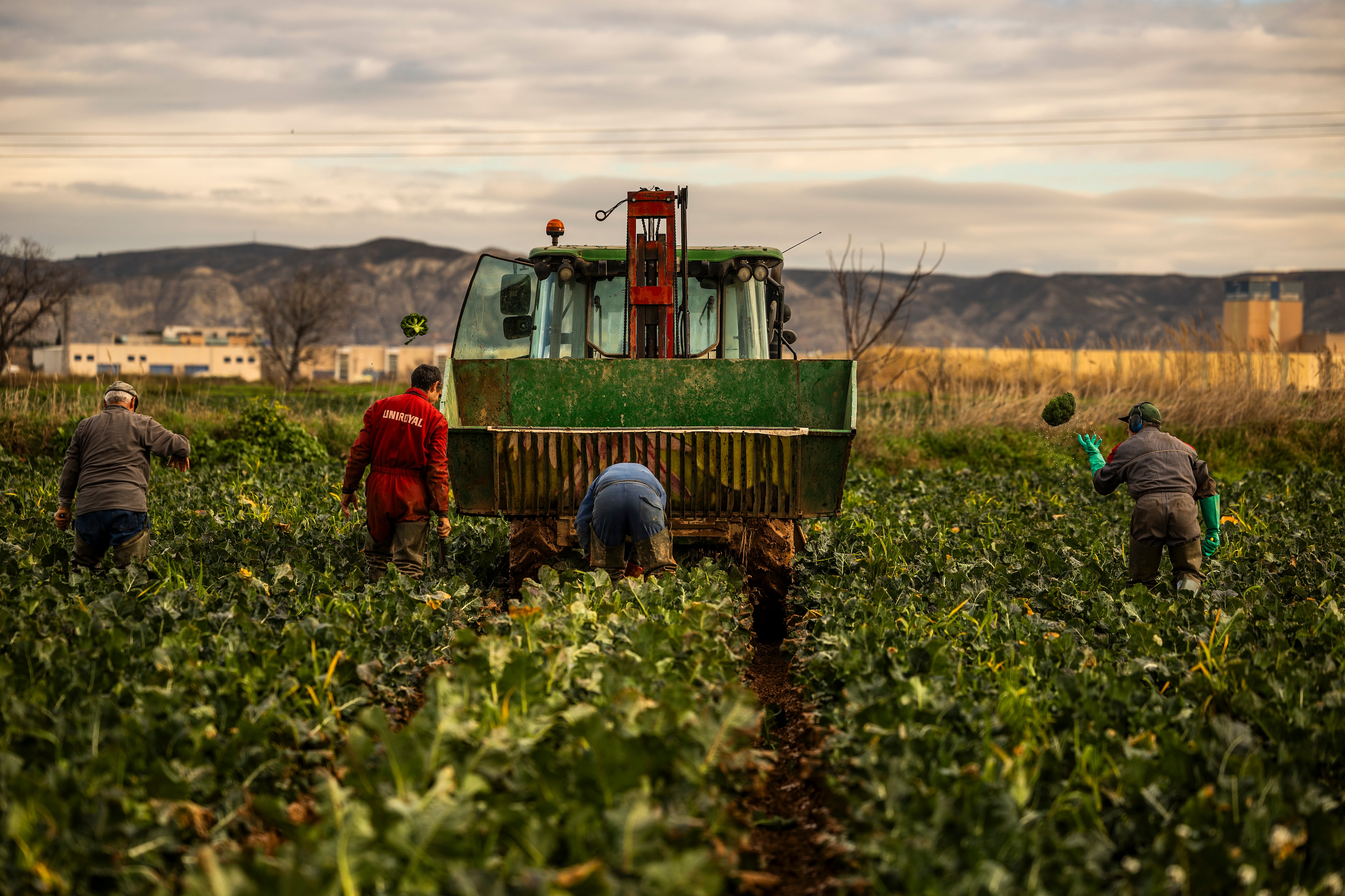 El precio oculto de la comida que nos llega a la mesa: 416 millones de trabajadores explotados y una crisis climática que agudiza los abusos