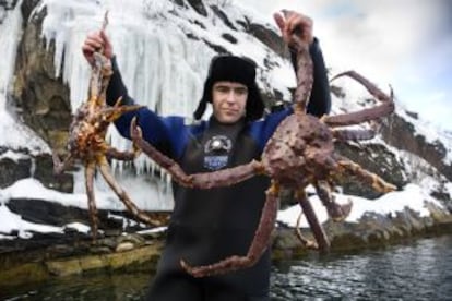 Un pescador de cangrejo real en las aguas de Barents, en Kirkenes.