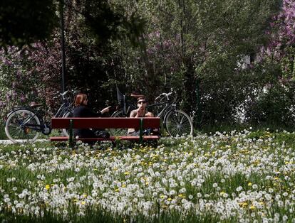 Una pareja, en un parque de Pamplona.