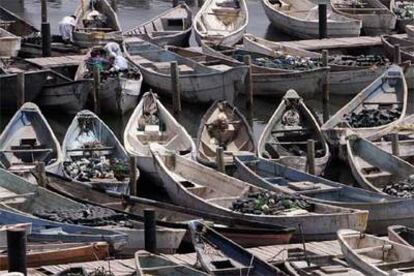 El puerto de Nuadibú, en el que hay más de 1.000 embarcaciones de pesca <i>(cayucos)</i> desde las que los inmigrantes intentan llegar a Canarias.