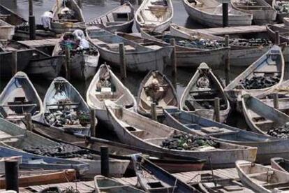 El puerto de Nuadibú, en el que hay más de 1.000 embarcaciones de pesca <i>(cayucos)</i> desde las que los inmigrantes intentan llegar a Canarias.