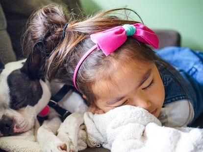 Una niña duerme junto a un perro en un sofá.