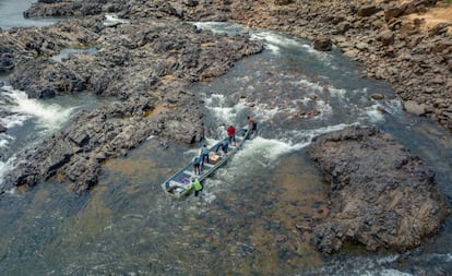 En la Vuelta Grande del Xingú, la región más afectada por la hidroeléctrica de Belo Monte, la escasez de agua ha provocado la muerte en masa de peces, ha generado la inseguridad alimentaria de los indígenas y ribereños e impide la movilidad de la población.