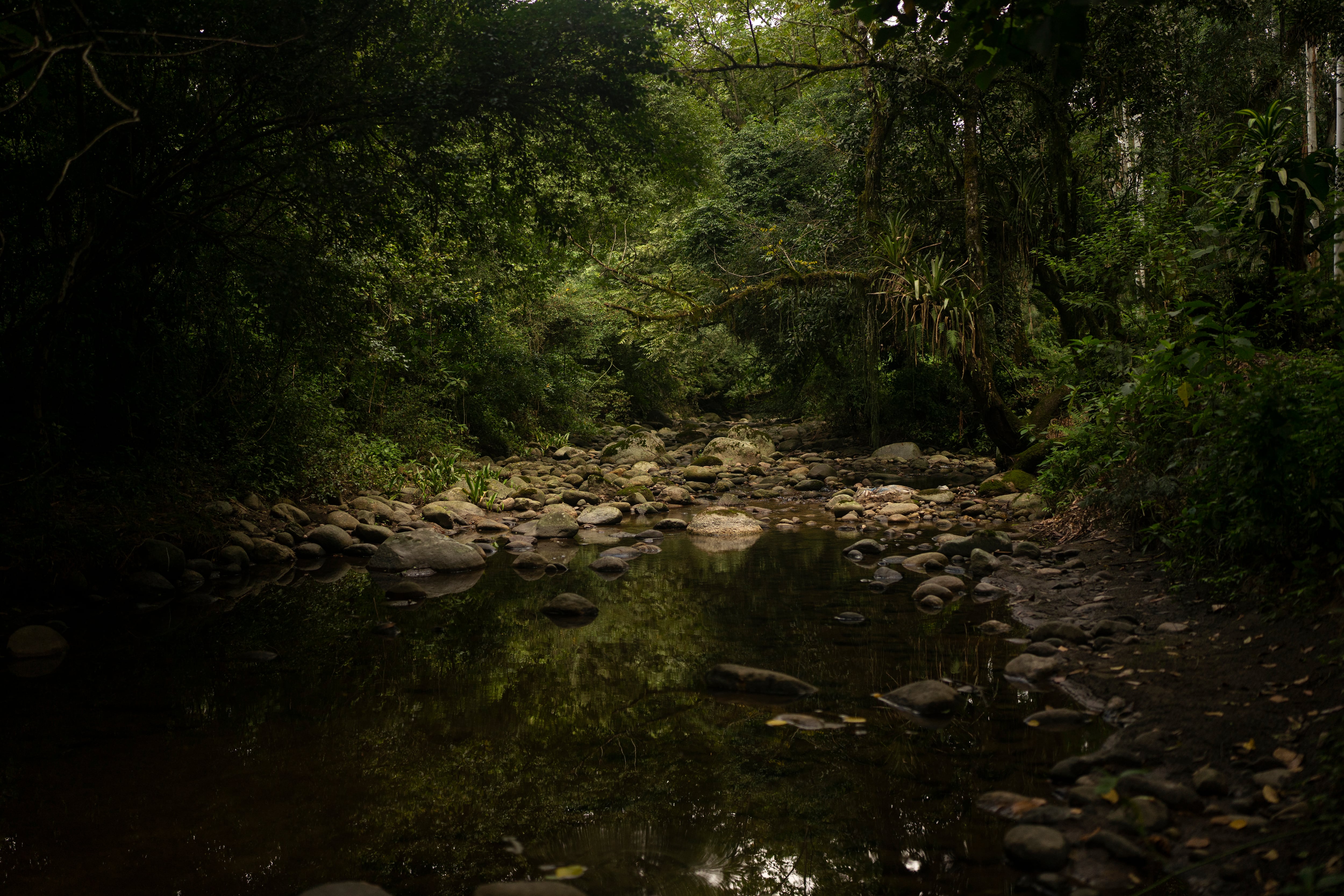 Vista de una de las Yungas argentinas.