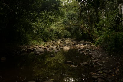 Vista de una de las Yungas argentinas.