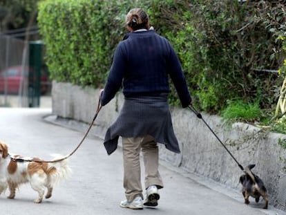 Una voluntaria pasea perros de la perrera municipal de Barcelona.