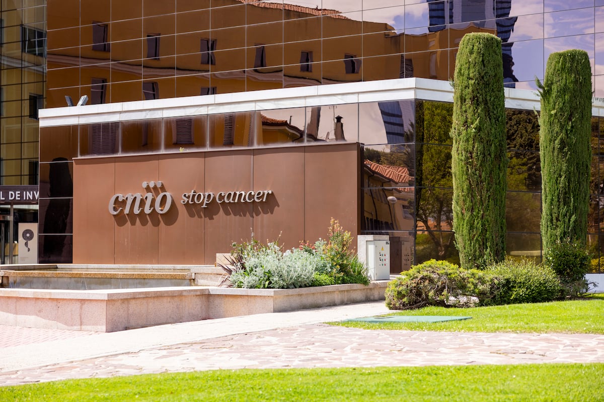 Habla el denunciante de la presunta corrupción en el CNIO: “Es una organización mafiosa” – EL PAÍS