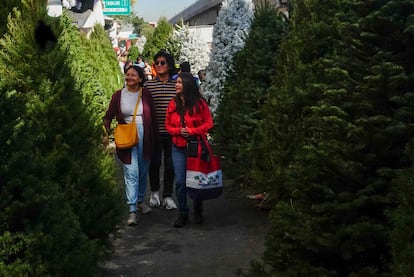 Capitalinos buscan pinos naturales en el Mercado de Jamaica, el 23 de noviembre en Ciudad de México