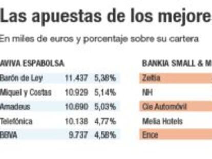 Los valores fetiche de los mejores fondos de inversión