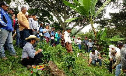 Un grupo de participantes en una actividad del Programa Cooperativo Regional para el Desarrollo Tecnológico y Modernización de la Caficultura (PROMECAFE).