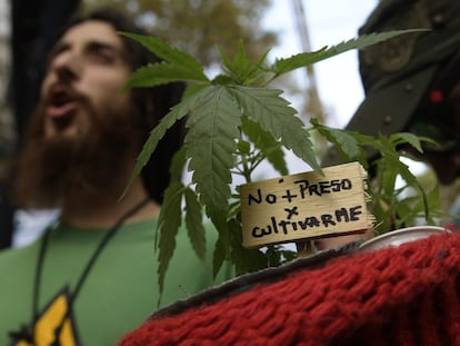 Una manifestación a favor de la legalización de la marihuana en Buenos Aires, en 2017.