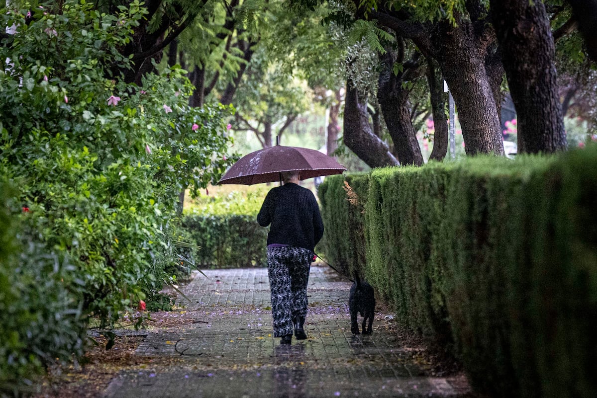 Las primeras lluvias por el paso de la dana dejan acumulados 45 litros en Valencia y 40 en Catarroja