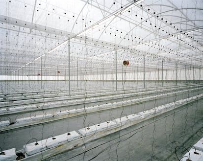 Un invernadero en El Ejido, 2013.