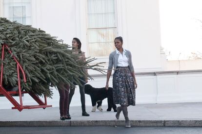 Las mujeres Obama (su perrito, Bo) reciben en la Casa Blanca su árbol de Navidad. La primera familia de Estados Unidos compra su abeto a domicilio.