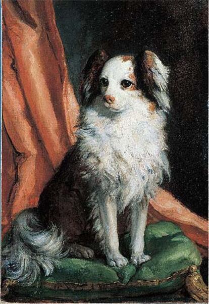 <i>Retrato del spaniel de la infanta María Josefa de Borbón</i> (hacia 1763), de Giovanni Battista Tiepolo (galería Caylus).