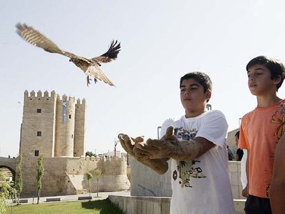 El palacio que alberga la escuela andaluza de arte ecuestre, ayer, antes de un espectáculo.