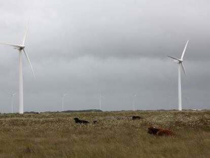 Complejo e&oacute;lico de Iberdrola en Texas, Estados Unidos