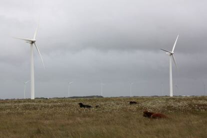 Complejo e&oacute;lico de Iberdrola en Texas, Estados Unidos