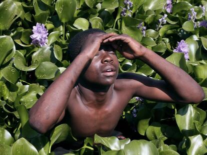 Víctor, un niño de la zona del lago Victoria (Kenia), rodeado de jacintos bajo el sol del mediodía.