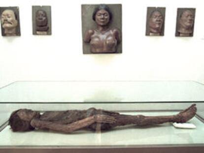 Cadáver momificado de un guanche, traído a Madrid en el siglo XVIII desde una cripta montañosa canaria.