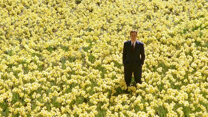 Big Fish 

Para muchos es la película más redonda de la filmografía de Tim Burton. Para todos, la más emotiva. Una imagen: Ewan McGregor rodeado de narcisos.