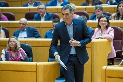 El presidente del Gobierno, Pedro Sánchez, momentos antes de su intervención este martes en el Senado.