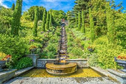 Mainau, en mitad del lago Constanza, conectada con tierra firme mediante un puente, no se apoda <a href="https://www.germany.travel/es/ciudades-turismo-cultural/palacios-parques-y-jardines/mentes-famosas/la-isla-de-las-flores-del-conde-bernadotte/alt-mainau-island.html" target="">la isla de las flores</a> por casualidad. Su pequeña superficie (45 hectáreas) colorea gracias a un jardín en el que abundan especies tropicales y subtropicales. De junio a agosto florecen unas 9.000 rosas de casi 400 variedades distintas en su jardín italiano, creado en 1871 por el duque de Baden. Su Casa de la Palmera es un invernadero en el que crecen más de 20 tipos diferentes de este árbol, además de una colección de 1.200 orquídeas. Y su Casa de Mariposas es la más grande de Alemania. Completan la postal sus árboles centenarios y, asomando por encima de sus copas, su impresionante palacio de estilo barroco.