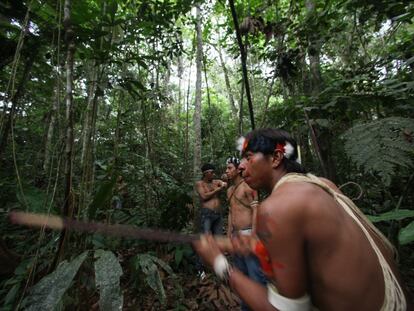 Las petroleras regresan a la Amazonía ecuatoriana