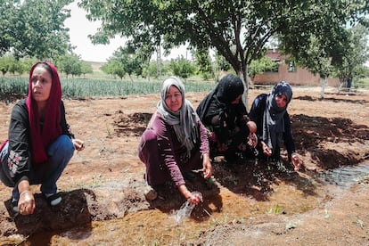 Zeynep, Yade, Watha y Zeyne, refrescándose después de su trabajo en el campo,en los canales de riego construidos por las habitantes de Jinwar.