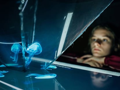 Una alumna observa el holograma de una medusa que se usa para las clases.