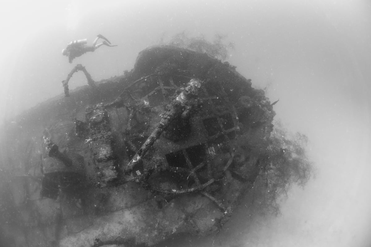 Los buscadores de barcos hundidos reclutan a la IA para salvar arrecifes contaminados por los naufragios | Tecnología