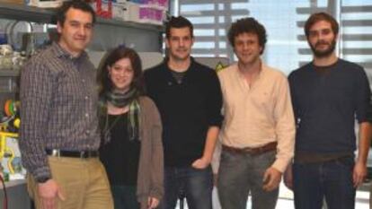 Los investigadores de la Universidad Pompeu Fabra Andrés Ozaita, Maria Gomis, Arnau Busquets, Rafael Maldonado y Thomas Guegan.