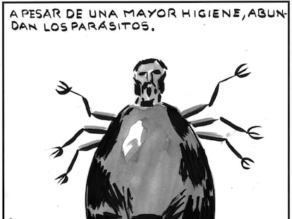 El Roto: abundan los parásitos