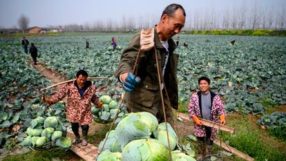 Camponeses da província de Hunan, na fronteira com Hubei, no dia 5 de março.