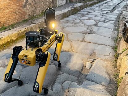 ROMA, 28/03/2022.- El Parque Arqueológico de Pompeya (sur de Italia), la ciudad sepultada por la erupción del Vesubio en el año 79, se ha dotado de "Spot", un pequeño robot cuadrúpedo capaz de inspeccionar lugares, incluso pequeños, registrando datos útiles para el estudio, además de ayudar a descubrir los túneles clandestinos que utilizan los ladrones. El objetivo es "utilizar soluciones tecnológicas innovadoras" para "mejorar el seguimiento de lo existente y el conocimiento del avance de las obras de las zonas objeto de recuperación o restauración y por tanto gestionar la seguridad de la obra, así como de los trabajadores", explicó hoy la dirección de este área arqueológica. EFE/ Parque Arqueológico De Pompeya  *****SOLO USO EDITORIAL/SOLO DISPONIBLE PARA ILUSTRAR LA NOTICIA QUE ACOMPAÑA (CRÉDITO OBLIGATORIO) *****
