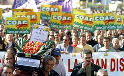 Agricultores de Almera, durante la manifestacin convocada ayer por Coag.