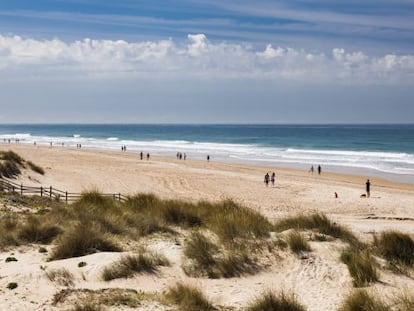 La playa de La Barrosa, en la costa de C&aacute;diz. 