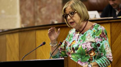 La consejera de Educación, Adelaida de la Calle, este martes en sesión parlamentaria.