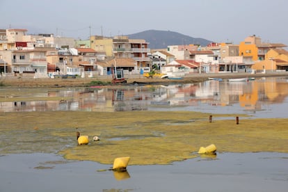 Mar Menor