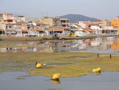 Estado actual de la playa de Los Nietos, en el mar Menor.