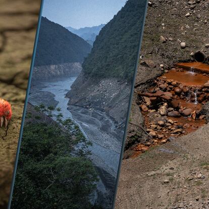Bogotá sin agua: ríos voladores, páramos, fenómeno del Niño y racionamiento