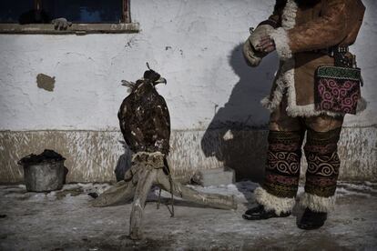 La capacitación y el manejo de las grandes rapaces sigue un estricto conjunto de reglas antiguas que los cazadores kazajos están preservando.