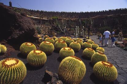 El Jard&iacute;n de Cactus, cerca de Guatiza (Lanzarote), fue una de las &uacute;ltimas obras del artista C&eacute;sar Manrique. M&aacute;s de 10.000 cactus se muestran en este recinto que aprovecha una vieja cantera abandonada. 