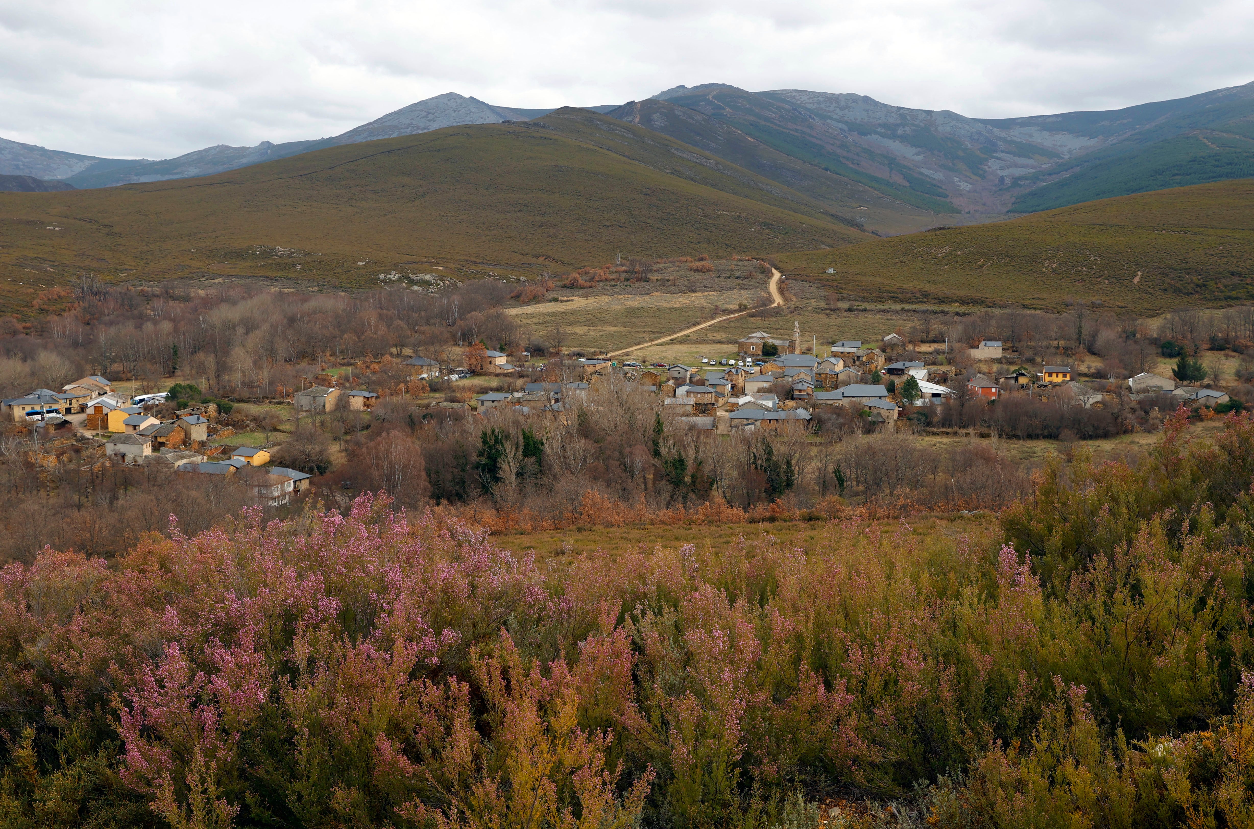 La biodiversidad es economía