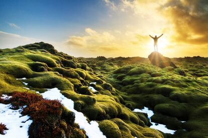 Un campo de lava cubierto de musgo en Islandia.