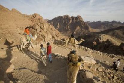 Turistas en camello en la ruta de subida al monte Sinaí, en Egipto.